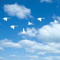 あなたらしく生きる