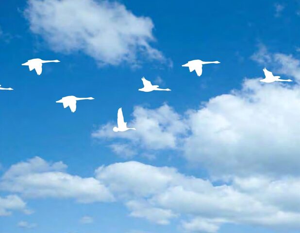 あなたらしく生きる