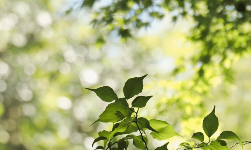 素晴らしい人生