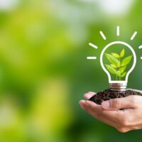 成長のエネルギー