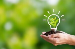 成長のエネルギー