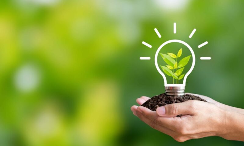 成長のエネルギー