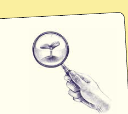 自分を創り出す